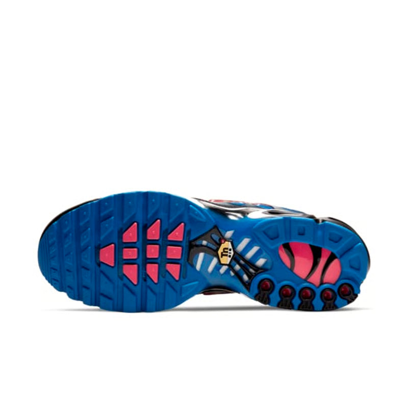 NIKE AIR MAX PLUS "TIME CAPSULE"